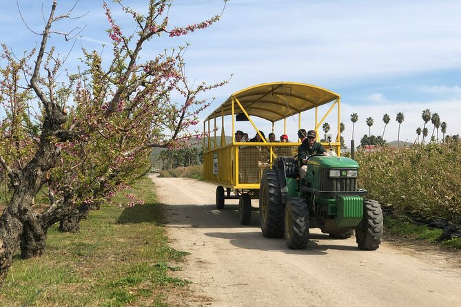 A Remarkable Scavenger Hunt: Resilient Bakersfield - Choosing the right time and preparing well