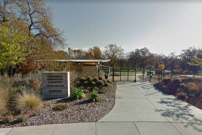 Amazing Scavenger Hunt: A Green Day by Redding’s River - Redding’s green side is the real attraction