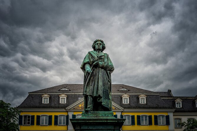 Bonn Scavenger Hunt and Highlights Self-Guided Tour - The app problem you should prepare for