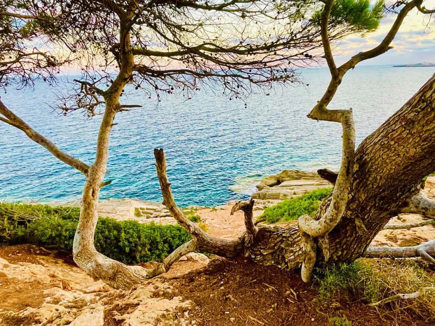 Cala Millor: real treasure hunt in natural reserve, fun walk - Starting near Punta de nAmer