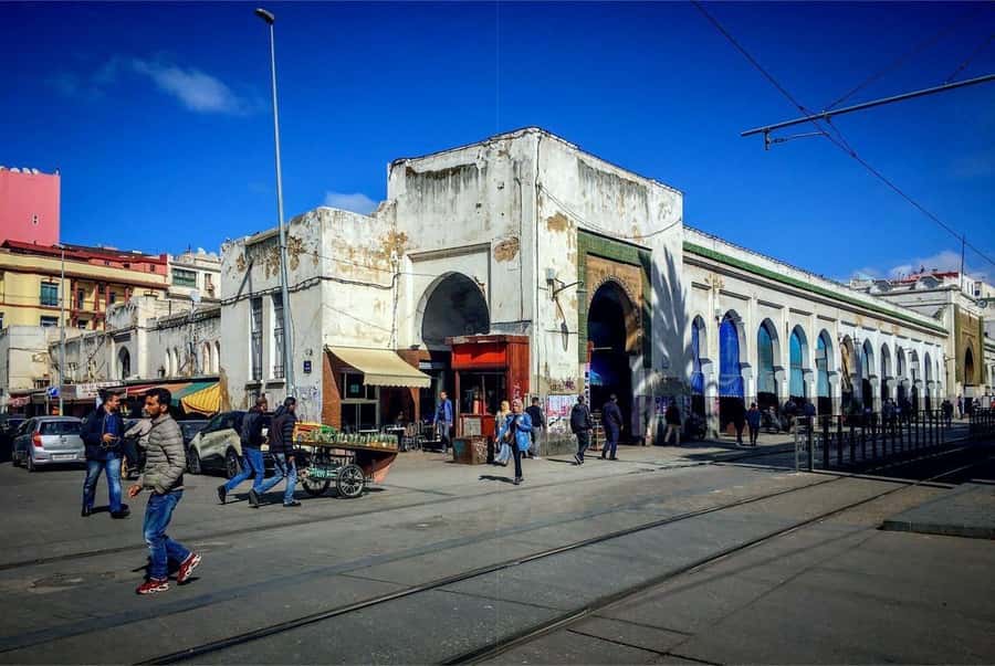 Casablanca Full-Day City Tour with round-trip hotel transfer - Is $22 a good value?