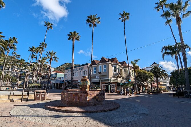 Catalina Scavenger Hunt Walking Tour and Game - Key points to know before you book