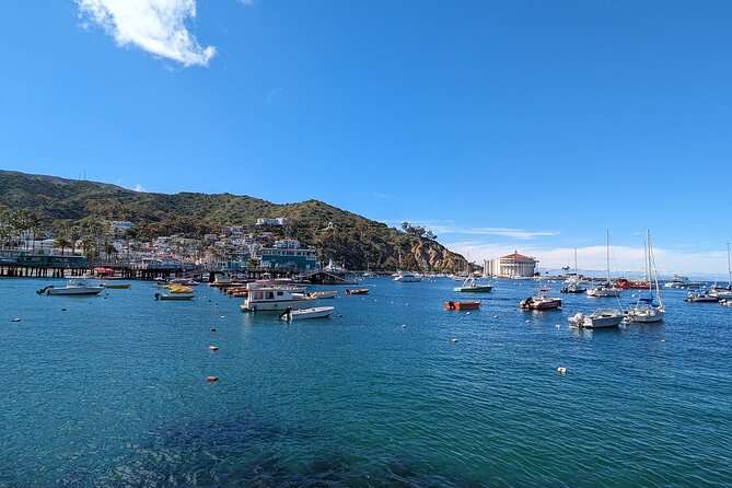 Catalina Scavenger Hunt Walking Tour and Game - A game walk through Avalon’s historic center