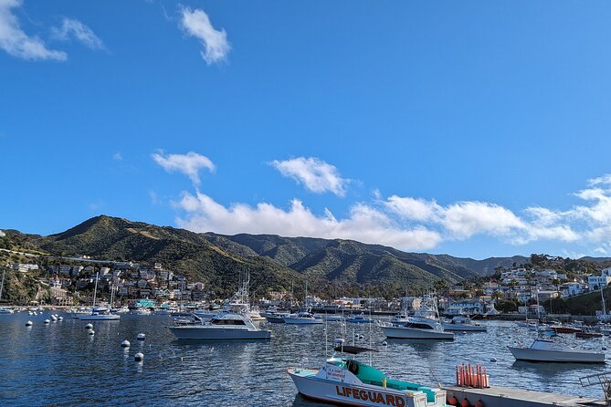 Catalina Scavenger Hunt Walking Tour and Game - Avalon clues, shops, and street-level history