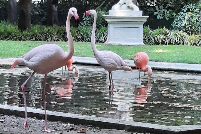 Catch the Unicorn: Self-Guided Fantasy Puzzle Quest in Milan - Key points to know