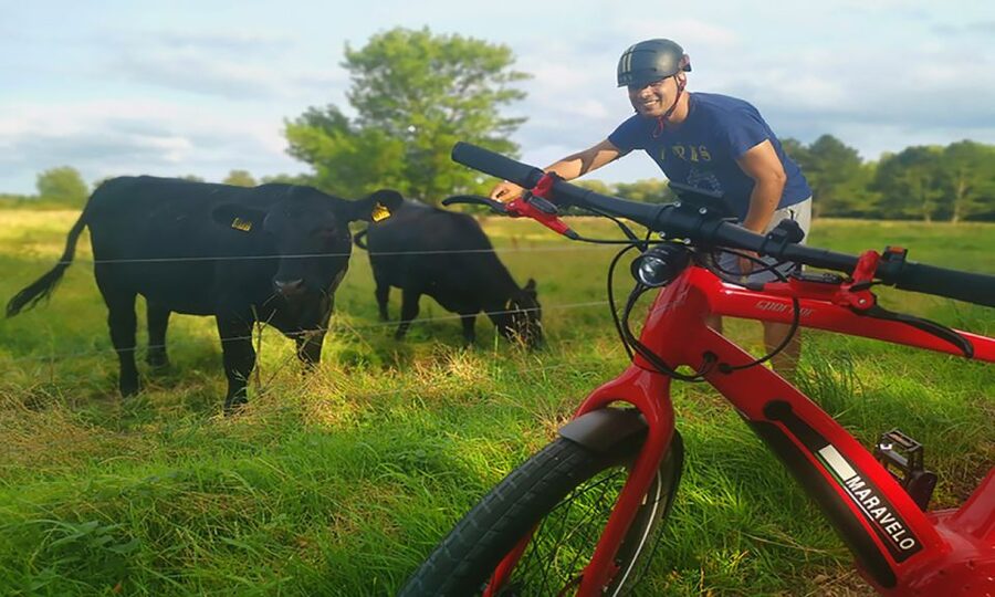 Copenhagen: Private Forgotten Giants E-Bike Treasure Hunt - Glostrup: the first stretch of open riding