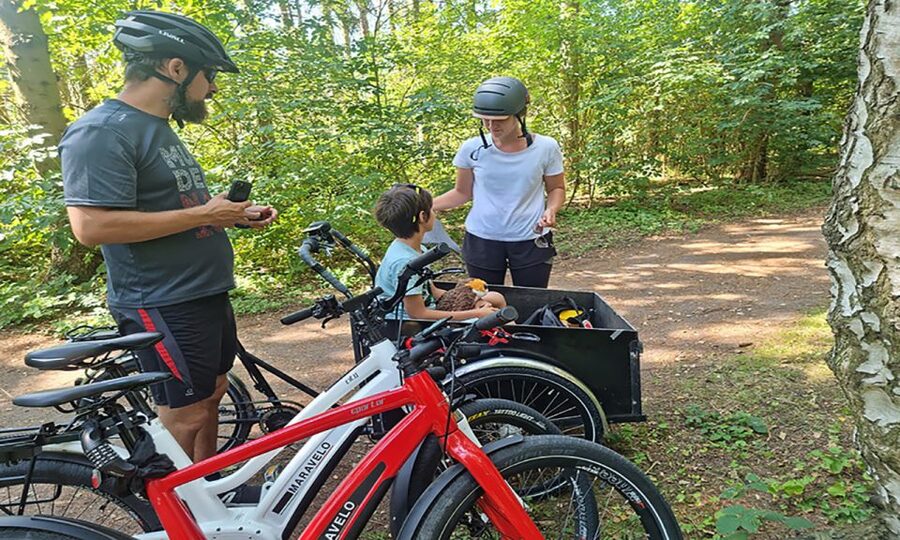 Copenhagen: Private Forgotten Giants E-Bike Treasure Hunt - Høje-Taastrup and the longest sculpture section