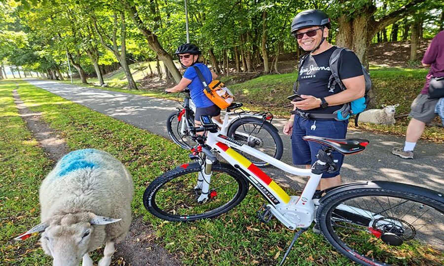Copenhagen: Private Forgotten Giants E-Bike Treasure Hunt - The Maravelo e-bike and included equipment