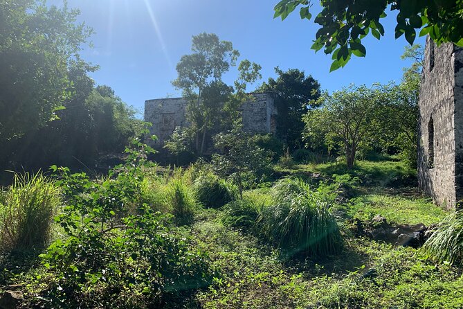 Discovery Tour and Treasure Hunt ( North and Middle Caicos) - Cottage Pond and the Karst Blue Hole
