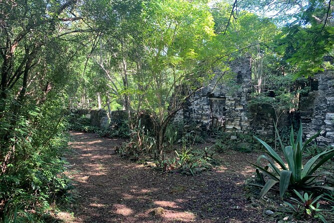 Discovery Tour and Treasure Hunt ( North and Middle Caicos) - Lunch at Dragon Cay and the Practical Rhythm of the Day