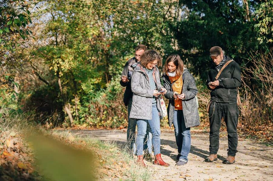 Dresden: 'The Wonder Forest' mobile scavenger hunt through the big garden - Price and group value