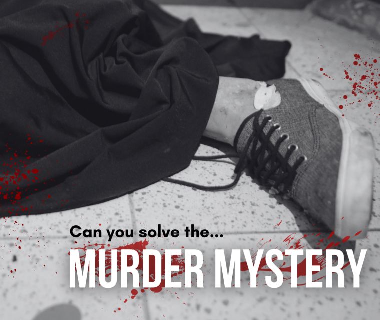 Dublin: Murder Mystery at the National Wax Museum - Key points at a glance