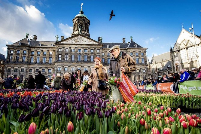 e-Scavenger hunt Amsterdam: Explore the city at your own pace - The Rijksmuseum and Van Gogh Museum area