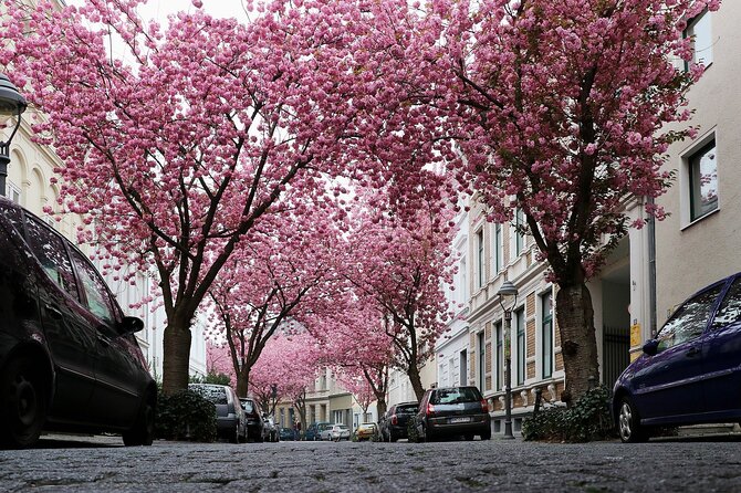 e-Scavenger hunt Bonn: Explore the city at your own pace - Starting near Am Hof and planning your route