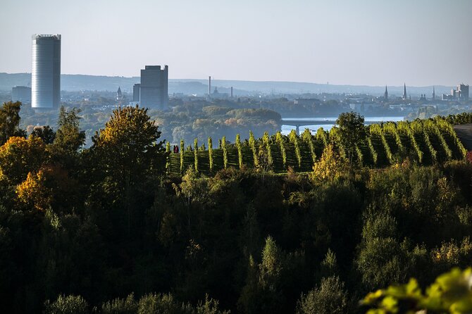 e-Scavenger hunt Bonn: Explore the city at your own pace - Poppelsdorfer Palace and Bonn’s architectural range