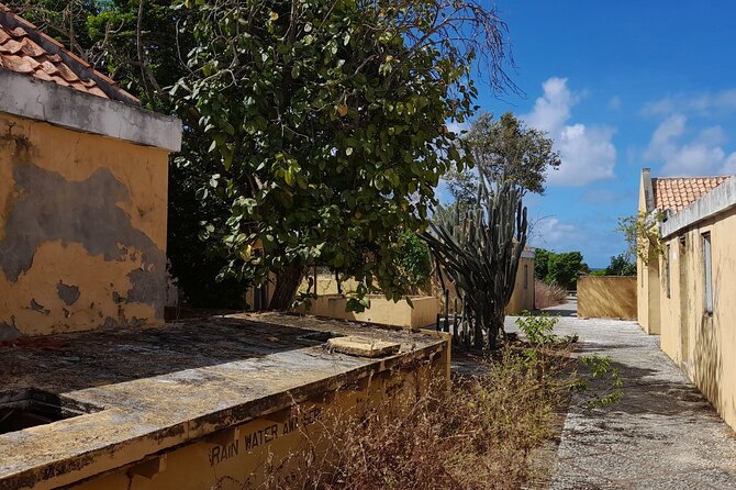 e-Scavenger hunt by car or scooter: 'Explore the Rincon Valley' - Gotomeer: a broad first look at Bonaire