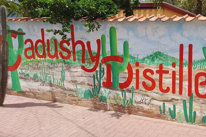 e-Scavenger hunt by car or scooter: 'Explore the Rincon Valley' - Cadushy Distillery brings a local taste