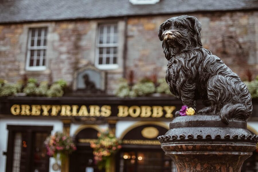 Edinburgh: Royal Mile Walking Tour & Exploration Game - Who will enjoy this most
