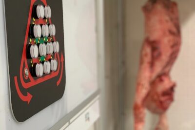Escape room: Dr. Field’s Mad Lab