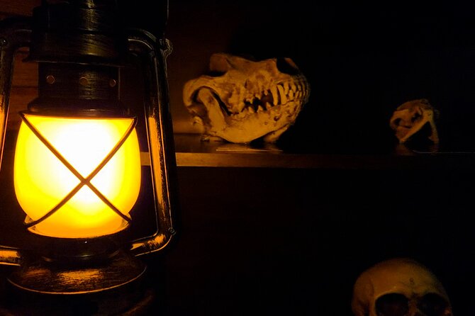 Escape Room Experience Taupo - The Cursed Cabin - Your 60-minute route through the cabin