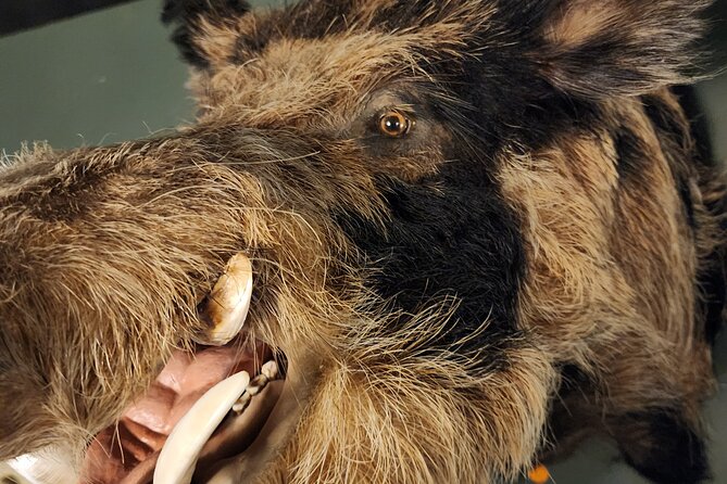 Escape Room Experience Taupo - The Hunting Lodge - What your 60 minutes are likely to feel like