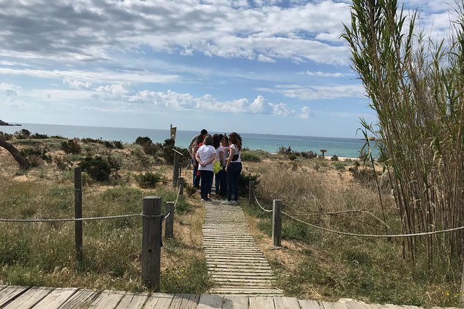 Escape Room Outdoor (on foot) Bartolomew Roberts Treasure - Key points at a glance