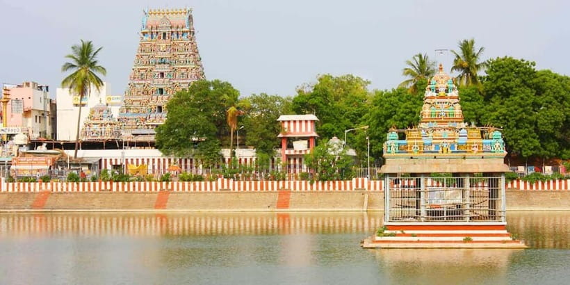 Experience the Essence of Chennai: Half-Day City Exploration - Pattinampakkam Fish Market and local coastal life