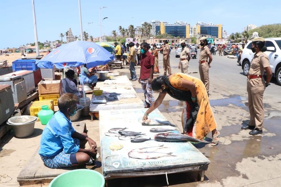 Experience the Essence of Chennai: Half-Day City Exploration - Marina Beach, with time to watch the city move