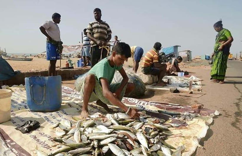Experience the Essence of Chennai: Half-Day City Exploration - Parry’s Corner, Harmonium Church, and Royapuram harbor