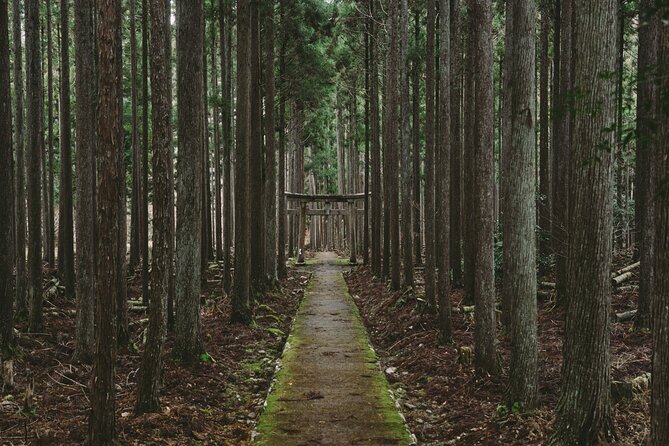 From Bamboo to Hidden Shrines: Kyoto’s Private Escape Tour by Car - Key points at a glance
