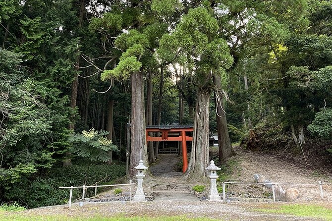 From Bamboo to Hidden Shrines: Kyoto’s Private Escape Tour by Car - Price, extra fees, and the early offer