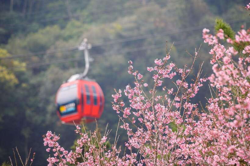 From Taipei: 1 Day Sun Moon Lake Private Tour - What to bring and what to leave behind