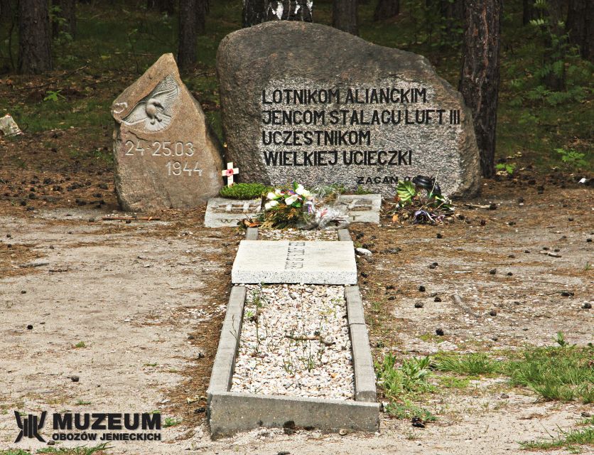 From Wrocław: Stalag Luft 3 Great Escape Tour - Walking to Harry in the pine woods