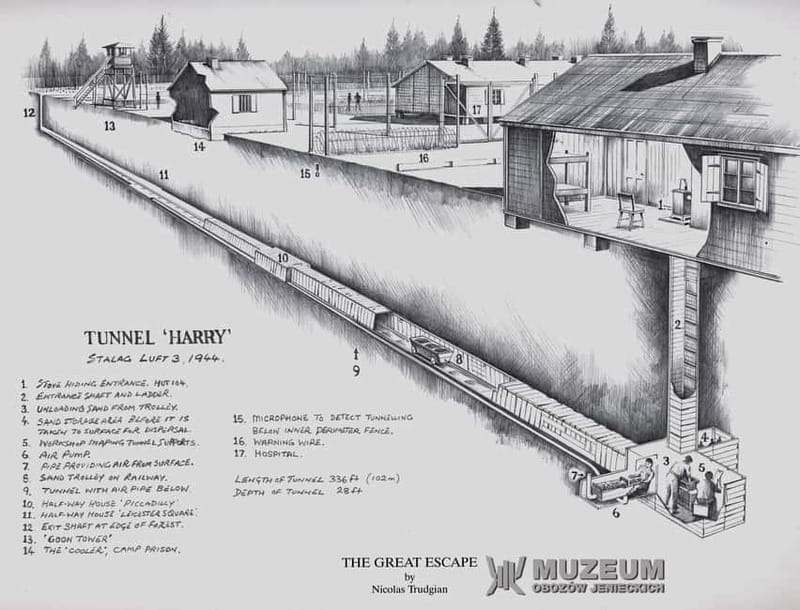 From Wrocław: Stalag Luft 3 Great Escape Tour - Who will get the most from this visit?
