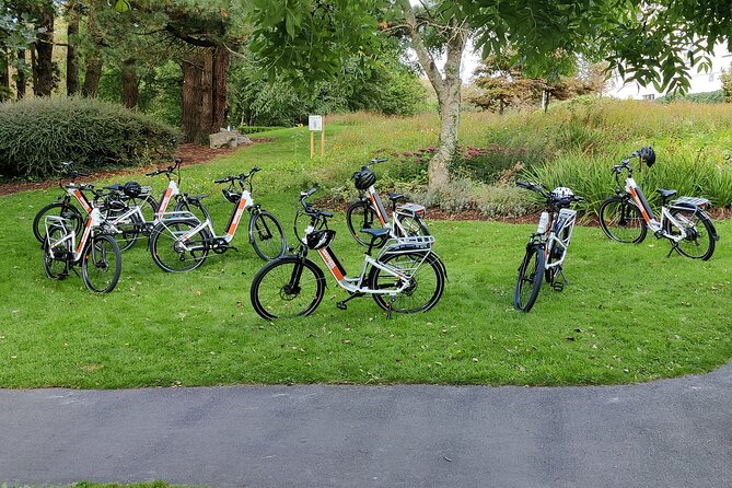 Galway City E-Bike Scavenger Hunt Game - Scavenger hunt or guided ride?
