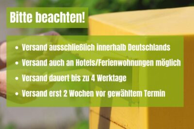 Hamburg City: Scavenger Hunt Self-Guided Tour