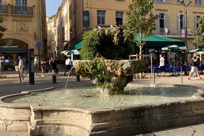Historical visit/Treasure Hunt of Aix en Provence - Price, group size, and practical value