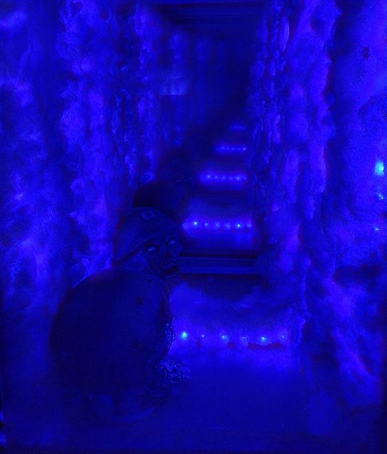 İstanbul: Frankenstein House of Horror, Escape Room Game - What the strong ratings tell you