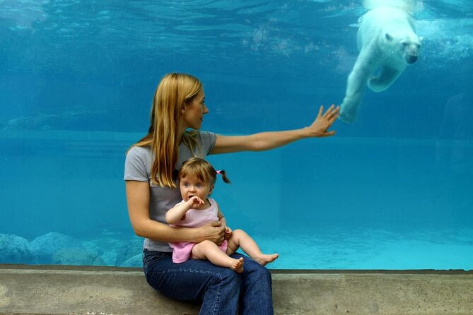 Lincoln Park Zoo Adventure - A $8 game inside a free Chicago zoo