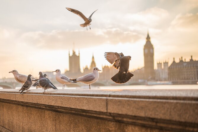 London Scavenger Hunt and Highlights Self-Guided Tour - Westminster becomes your game board