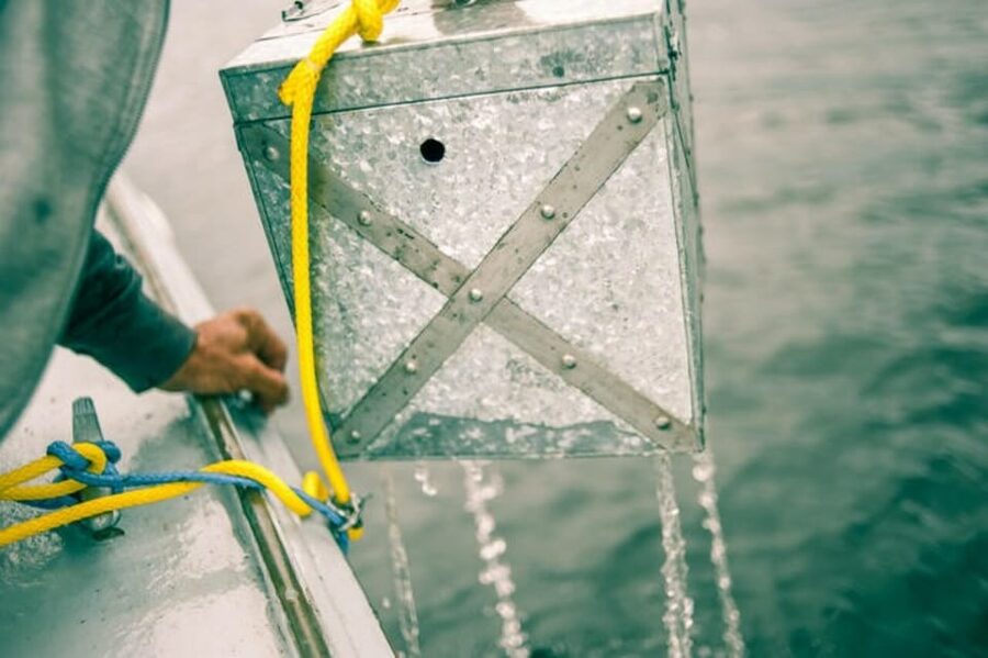 Maine: Belfast Family Treasure Hunt - A treasure hunt on Belfast’s working waterfront