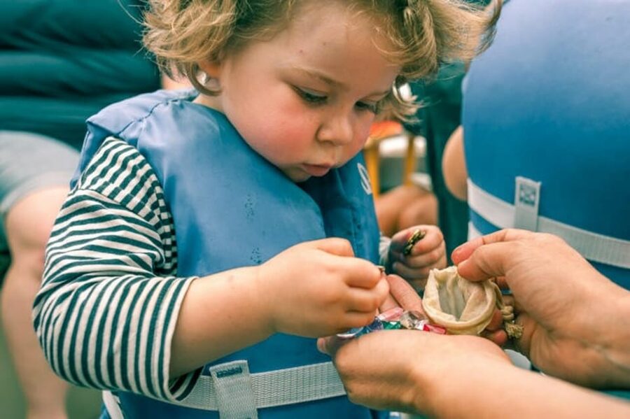 Maine: Belfast Family Treasure Hunt - Booking flexibility and practical limits