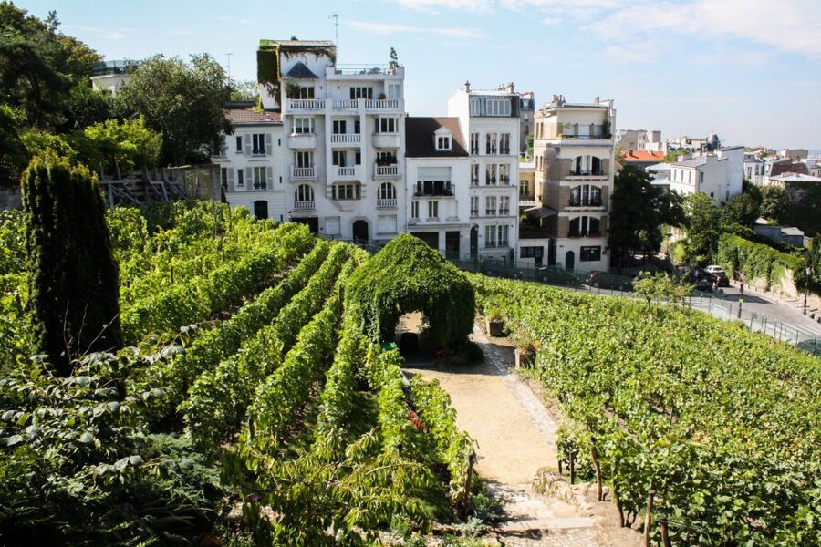 Montmartre: Private Treasure Hunt for Families and Kids - Practical details before you go