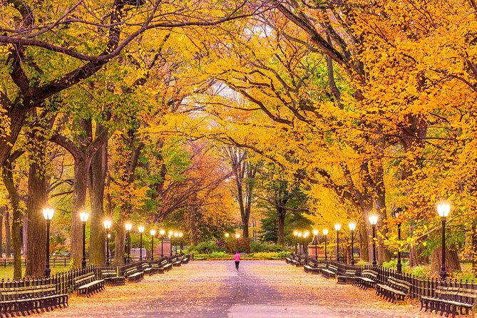 Movie Magic in Central Park: Self-Guided Puzzle Adventure - Key points at a glance