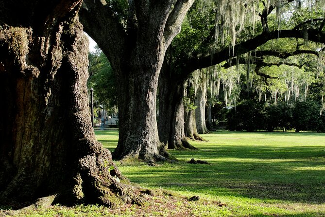 New Orleans: City Park Exploration Game and Tour - How the offline format helps