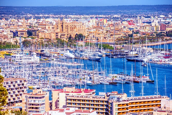 Palma de Mallorca Self-Guided Scavenger Hunt and Tour - Key points at a glance