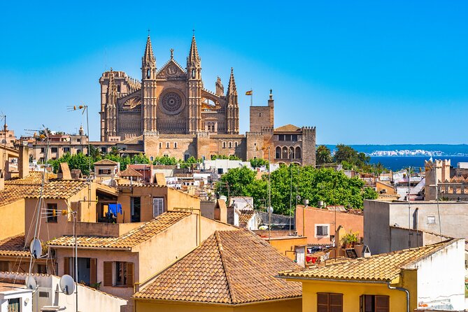 Palma de Mallorca Self-Guided Scavenger Hunt and Tour - Stop 4: La Bodeguita del Medio de La Lonja