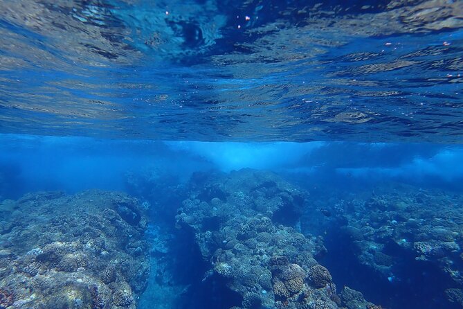Private 4 Hours Reef Discovery Luxury Private Treasure Hunt in Bora Bora - Why the treasure hunt works so well for children