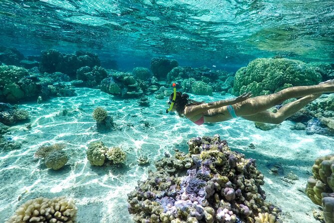 Private 4 Hours Reef Discovery Luxury Private Treasure Hunt in Bora Bora - The captains make a real difference