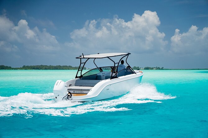 Private 4 Hours Reef Discovery Luxury Private Treasure Hunt in Bora Bora - Is $1,068.76 good value for four hours?